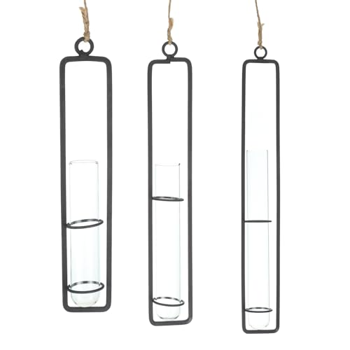 PATIKIL Plant Propagation Wall Hanging Terrarium with Metal Holder, 3 Sets Small/Medium/Large Glass Planter Tube Vase for Hydroponic Flower Office Bathroom Bedroom Decor, Black