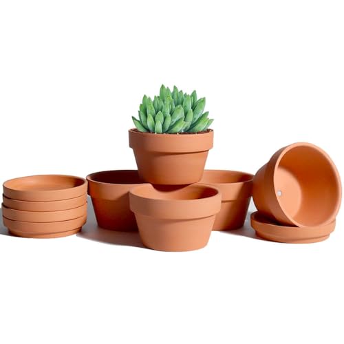 4.5 Inch Terracotta Shallow Succulent Pots - 6 Pack Terra Cotta Clay Pot with Saucer, Cacuts Indoor and Outdoor Planters with Drainage Hole - color: Brown, size: 4.5 Inch