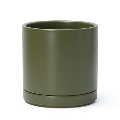 D'vine Dev 8.2 Inch Ceramic Planter Pot, Olive, 94-O-D-J | Modern Cylinder Design, Drainage Hole & Saucer Included, Stable Structure, Elegant Home Accent - color: Olive, size: Medium