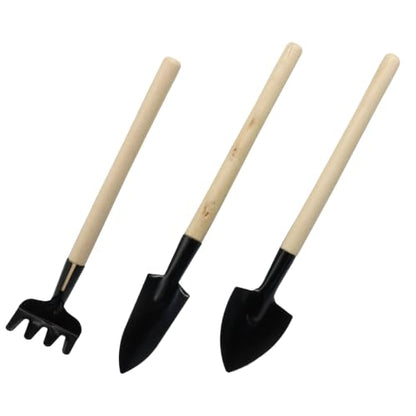 Mini Garden Tools, 3 Pcs Indoor Gardening Tools Set with Small Trowel, Mini Shovel & Hand Rake, Rust-Resistant Metal & Solid Wood for House Plant Tools, Succulent & Bonsai Potting