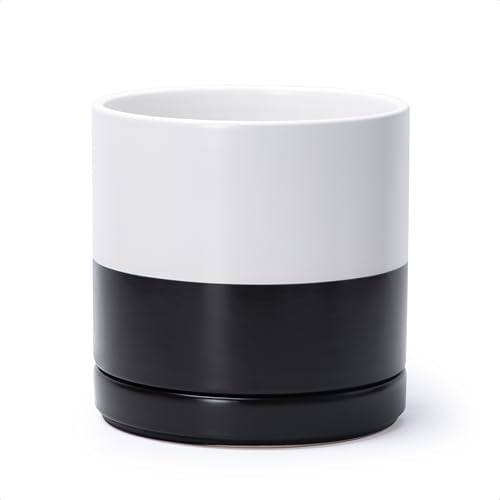 D'vine Dev 8.2 Inch Ceramic Planter Pot, Black White Two Tone, 94-O-D-L | Modern Cylinder Design, Drainage Hole & Saucer Included, Stable Structure, Elegant Home Accent - color: Layered Monochrome Black & White, size: Medium