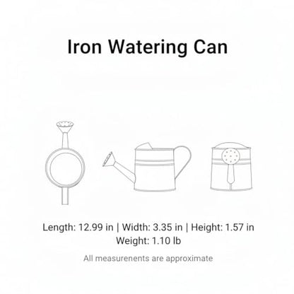 Long Spout Iron Watering Can for Indoor & Outdoor Plants, Durable Metal Design with Precise Flow Control (1 Pack) - color: Purple