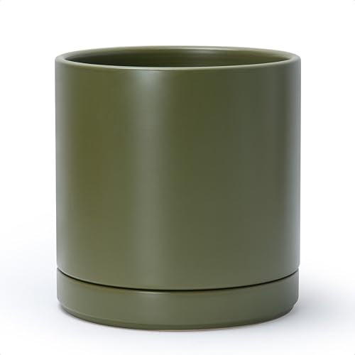D'vine Dev 10 Inch Ceramic Planter Pot, Olive, 94-O-E-J | Modern Cylinder Design, Drainage Hole & Saucer Included, Stable Structure, Elegant Home Accent - color: Olive, size: Large