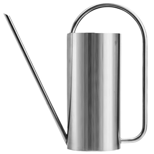 Watering Can Outdoor, 50 oz/1.5L Watering Can with Long Spout and Handle, Stainless Steel Garden Watering Pot for Outdoor and Indoor Plants - color: Silver