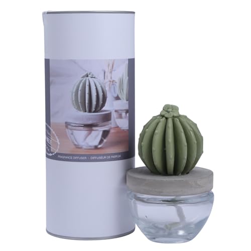 Reed Diffuser Set Ceramic Cactus Fragrance Diffuser-White Flower 3.38 fl oz (100 ml), Home Fragrance Reed Diffuser for Bathroom Office Living Room Dining Table Decor