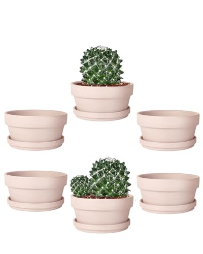 5.7 Inch Pink Terracotta Shallow Succulent Pots - 6 Pack Terra Cotta Clay Pot with Saucer, Cacuts Indoor and Outdoor Planters with Drainage Hole - color: Pink, size: 5.7 Inch