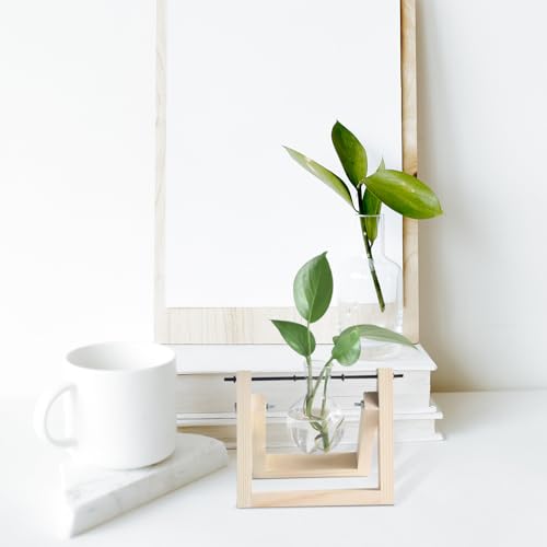 10pcs Plant Propagation Stations Rack - Tabletop Plant Terrarium Hanger Rod - Replacement Hydroponic Water Vase Stand for Home Office 10cm - size: 10.00X0.50X0.50CM