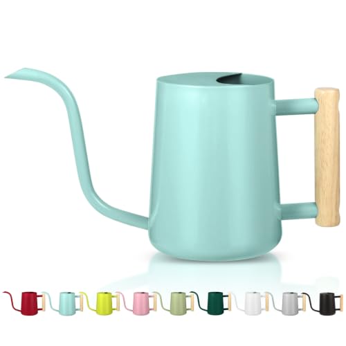 Watering Can Indoor Plants, 35oz Small Indoor Stainless Steel Metal Watering Can Modern Decorative Watering Pot with Long Spout for Indoor House Plant Bonsai Outdoor Garden Flowers Green - color: Green