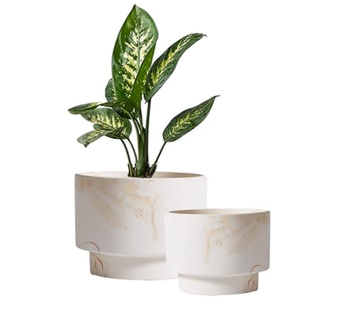 Olly & Rose White with Beige Streaks Ceramic Plant Pot Set 2-16.5,13.5cm Medium Plant Pots Outdoor and Indoor - White Planters - Flower Pots