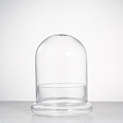 NCYP Small Clear Decorative Glass Terrarium Cloche with Air Hole - 4.7 x 4.7 x 6.3 Inches Glass Dome with Base for Miniature Carnivorous Plants (No Plants Included) - size: 4.7x4.7x6.3inches