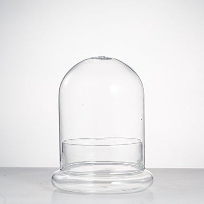 NCYP Small Clear Decorative Glass Terrarium Cloche with Air Hole - 4.7 x 4.7 x 6.3 Inches Glass Dome with Base for Miniature Carnivorous Plants (No Plants Included) - size: 4.7x4.7x6.3inches