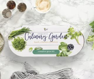 Buzzy Seeds Organic Windowsill Herb Kit - Metal Windowsill Planter - Complete Indoor Gardening Kit with Seeds, Coconut Husk Growing Medium & Genuine Pots - 100% Grow Guarantee - color: Culinary Garden