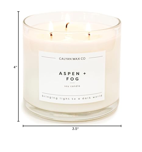 Aspen & Fog 3 Wick Scented Candle - 43 Hour Burn | Made in the USA Luxury Clean Soy Wax Candles - Long Lasting Large Glass Jar Candle for Home - 3 Wicks - 14.9oz - color: Aspen + Fog