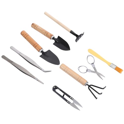 HEMOTON 10pcs Gardening Tool Set for Succulent Planting and Transplanting, Mini Plant Shovel, Tweezers, Spray Bottle, and Soil Brush, Compact Garden Hand Tools Kit for Indoor and Outdoor
