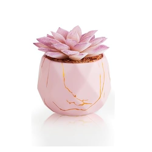 ZENIDA Artificial Succulent Plants in 1 Pink Ceramic Pots, Cute Fake Plants for Vanity Decor, Office, Desk, Bathroom, Kitchen, Bedroom, Shelves Decor for Women, Girls Gift - color: Pink-1pc