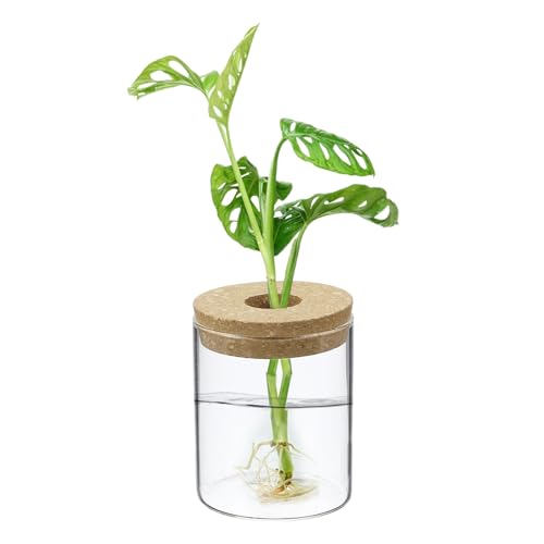 M METERXITY 1 Pack Glass Planter Terrarium with Wooden Cover, Desktop Plant Propagation Station Clear Vase for Hydroponic Plants Propagation/Home Garden Decor/Plant Lover [3.35'' x 3.94''] - size: 3.35'' x 3.94''