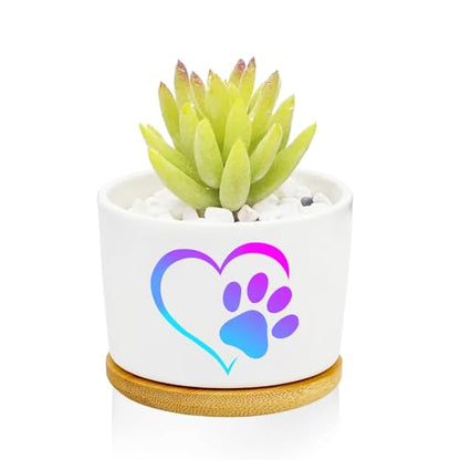 1Pcs Dog Claw Succulent Pots with Drainage and Bamboo Tray, Ceramic Pot | 3 Inch Small Planters for Plants,Cactus,Decoration for Office Home,Garden,Windowsill,Gifts for Women Mom (No Plants Included) - style: Love Dog Claw