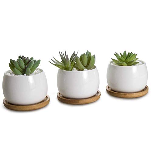 6pcs 3 inch Bamboo Round Plant Saucer, Mini Flower Pot Tray for Cactus Plant Pot Flower Pot Container Planter Bonsai Pots,no Plants Pot - size: 3 Inch