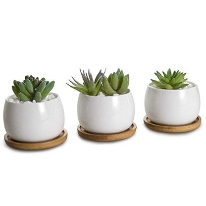6pcs 3 inch Bamboo Round Plant Saucer, Mini Flower Pot Tray for Cactus Plant Pot Flower Pot Container Planter Bonsai Pots,no Plants Pot - size: 3 Inch