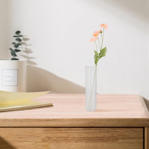 Test Tube Vase Propagation Station for Hydroponic Plants Clear Glass Flower Holders for Indoor Home Decor Modern Minimalist Small Plant Stand 7.08X1.18X1.18In