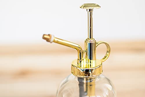 Glass Plant Watering Mister – 8 Ounces Gold Accent Plant Spray Bottle – Single Handed Watering Can for Indoor Plants