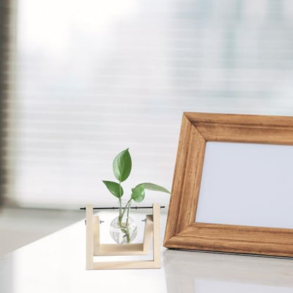 10pcs Plant Propagation Stations Rack - Tabletop Plant Terrarium Hanger Rod - Replacement Hydroponic Water Vase Stand for Home Office 10cm - size: 10.00X0.50X0.50CM
