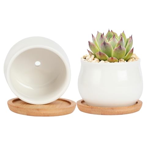 SHECIPIN 2 Pack Succulent Pots, 2.5 Inch Mini Ceramic Pots for Flower or Cactus Plants with Drainage Hole,Plants Not Included (White) - color: 2 Pack White Mini Pots