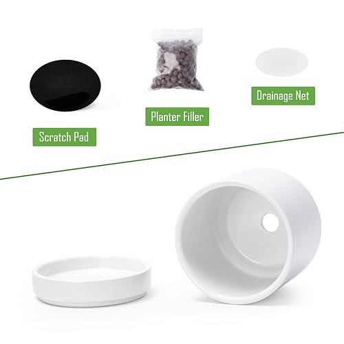 D'vine Dev 2-Pack Ceramic Pots with Saucers, White, 4.7 in, 94-V-B-1 | Modern Cylinder Design, Glazed Ceramic, Drainage Hole & Saucer Included, High Temperature Fired, Elegant Home Accent - color: White, size: 4.7 Inch