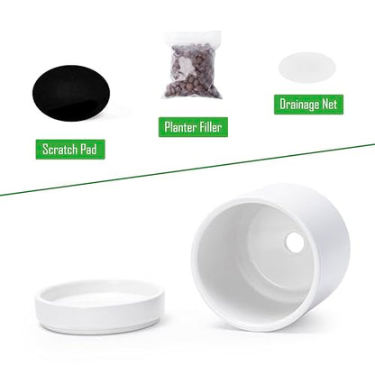 D'vine Dev 4-Pack Ceramic Pots with Saucers, White, 4.7 in, 94-X-B-1 | Glazed Ceramic, Drainage Hole and Saucer, Sleek Cylinder Shape, High Temperature Fired, Ideal for Small Houseplants - color: White, size: 4.7 Inch