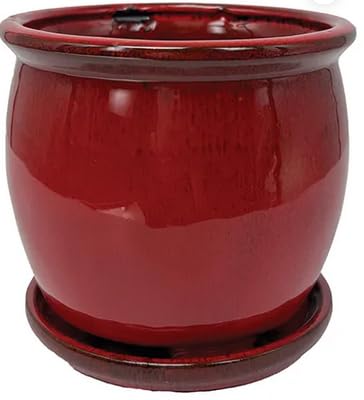 Aspen & Fig Red 8 Inch Indoor Ceramic Plant Pot with an Attached Saucer and Drainage Hole for House Plants, Herbs, Flowers, Succulent, Snake Plants, Gifts for Mom, Standard Pot