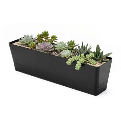 GREANER 16x3.8 Inch Herb Window Boxes 1PCS, Black Planter with Removable Trays and Drainage Holes, Succulent Flower Rectangular Plastic Pot for Balcony, Office, Windowsill, Garden, Indoor Outdoor Use - size: 1Pack/16x3.8in-black