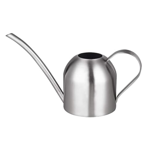 IMEEA Indoor Watering Can for House Plants 33oz/1L Brushed Stainless Steel Watering Can with Long Spout for Succulents, Bonsai - color: 33oz (Silver)