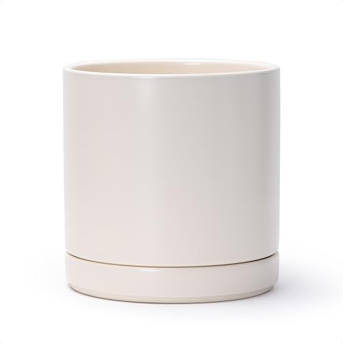 D'vine Dev 8.2 Inch Ceramic Planter Pot, Oatmeal, 94-O-D-8 | Modern Cylinder Design, Drainage Hole & Saucer Included, Stable Structure, Elegant Home Accent - color: Oatmeal, size: Medium