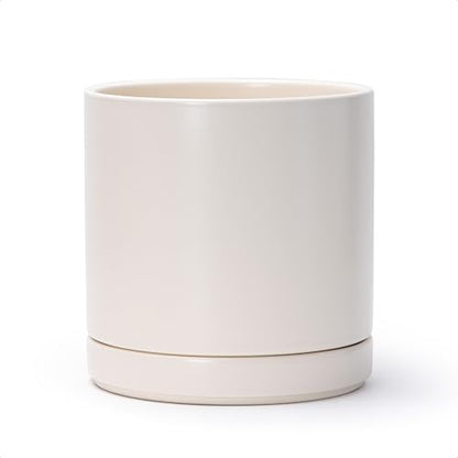 D'vine Dev 8.2 Inch Ceramic Planter Pot, Oatmeal, 94-O-D-8 | Modern Cylinder Design, Drainage Hole & Saucer Included, Stable Structure, Elegant Home Accent - color: Oatmeal, size: Medium