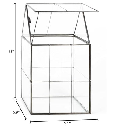 D'Eco Large Glass Plant Terrarium, Centerpiece & Wedding Letterbox Display | Tabletop Geometric Planter Terrarium, Fill with Succulents, Moss, Air Plants, Ferns, Home & Office Decor, Dims:6x5x11"