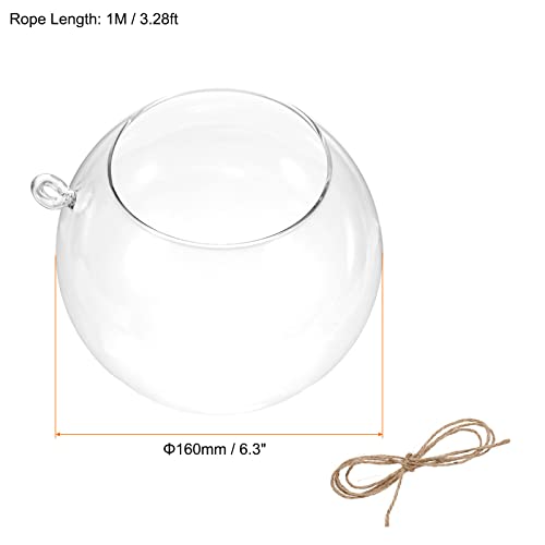 PATIKIL Round Globe Terrarium Air Plant Planter, 6.3 Inch High Borosilicate Glass Hanging Decorations for Succulent, Tillandsia, Clear - size: 6.3 Inch