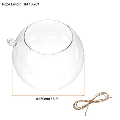 PATIKIL Round Globe Terrarium Air Plant Planter, 6.3 Inch High Borosilicate Glass Hanging Decorations for Succulent, Tillandsia, Clear - size: 6.3 Inch