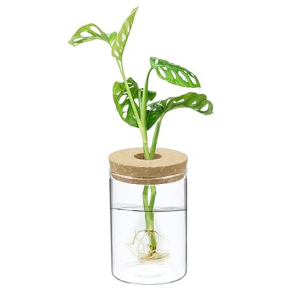 M METERXITY 1 Pack Glass Planter Terrarium with Wooden Cover, Desktop Plant Propagation Station Clear Vase for Hydroponic Plants Propagation/Home Garden Decor/Plant Lover [3.35'' x 4.72''] - size: 3.35'' x 4.72''