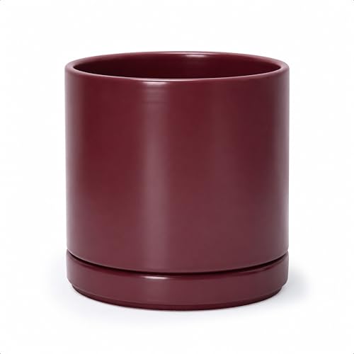 D'vine Dev 8 Inch Ceramic Planter Pot, Cordovan, 94-O-D-4 | Modern Cylinder Design, Drainage Hole & Saucer Included, Stable Structure, Elegant Home Accent - color: Cordovan, size: Medium