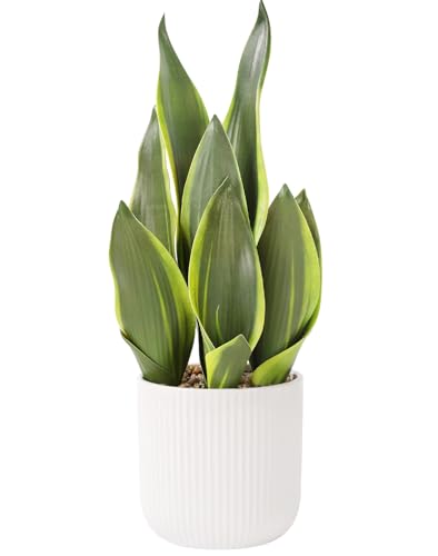 Artificial Realistic Snake Plant 16" with White Ceramic Pot | Fake Snake Plants Sansevieria Greenery Faux Snake Plant for Home Office Living Room Housewarming Gifts Indoor Decor - color: Yellowedge