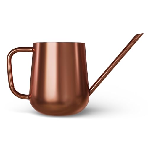 Metal Watering Can for Indoor Houseplants Outdoor Garden Long Sprout Water Can for Succulents Herb Bonsai Modern Garden Tool 33.8oz/1000ml (Royal Copper) - color: Royal Copper