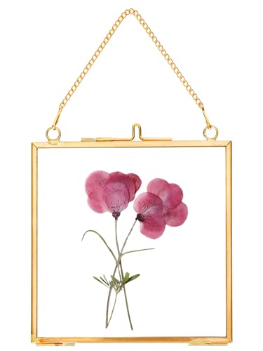 REDHUGO Glass Pressed Flower Frames, Square, Gold, 4x4 Inches | Vintage Hanging Picture Frames with Chain, Handmade Brass Floating Frame, Plant Specimen Wall Display DIY Family Photo - color: Gold, size: 4L" x 4W"