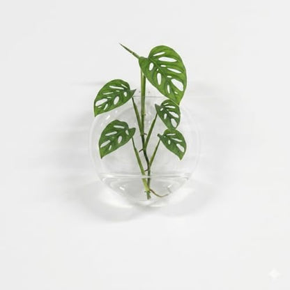 Wall Hanging Planter Propagation Station, Glass Flower Vase for Hydroponics Plants, Terrariums, Bathroom, Home Office, Living Room Decor Gift, Oblate Shape Set of 2(Plants Not Included)