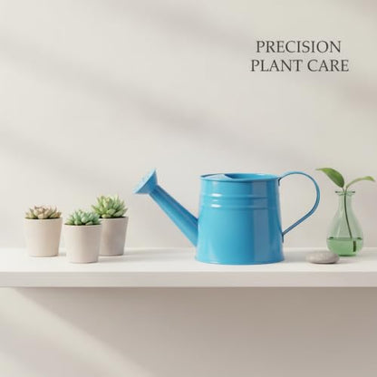 Long Spout Iron Watering Can for Indoor & Outdoor Plants, Durable Metal Design with Precise Flow Control (1 Pack) - color: Blue