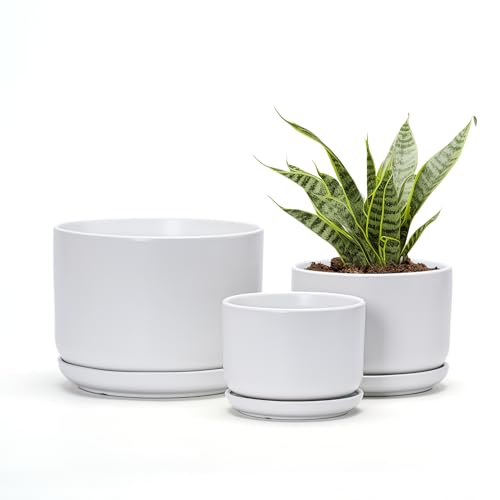 White Plant Pots,Ceramic Flower Pots Set of 3 with Drainage Holes(Matte) | Plant Pots Indoor | Small Pots for Plants | Herb Planting Pots | Pretty Outdoor Pots for Plants | 4+5+6.5 Inch flower pots - color: Matte White