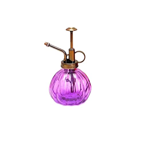 Glass Plant Mister Watering Can Spray Bottles with Top Pump, 6.4" Tall Vintage Fine Mist Succulent Plant Spritzer, Small Decorative Watering Can Gift for Indoor Outdoor Garden House Plant (Purple) - color: Purple