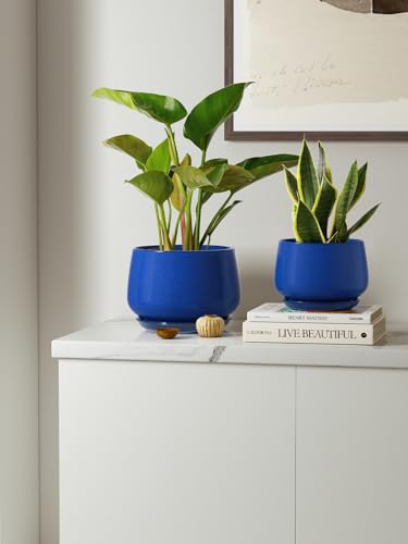 LE TAUCI Plant Pots, 4.1+5.1+6.5 inch, Set of 3, Ceramic Planters with Drainage Hole and Saucer, Indoor Flower Pot with Hole Mesh Pad, Gifts for Mom, Sapphire Blue - color: Sapphire Blue