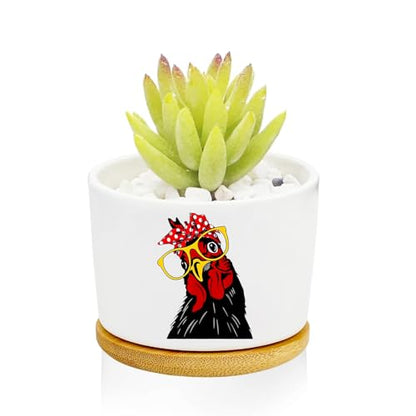 1Pcs Rooster Succulent Pots with Drainage and Bamboo Tray, Ceramic Pot | 3 Inch Small Planters for Plants,Cactus,Decoration for Office Home,Garden,Windowsill,Gifts for Women Mom (No Plants Included) - style: Rooster