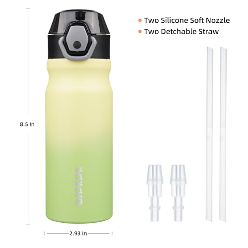 BJPKPK 18 oz Water Bottle with Straw & Handle, Insulated Stainless Flask | Leak Proof Locking Lid, Thermal, Double Wall Vacuum, Keeps Hot/Cold, BPA Free, Dishwasher Safe, Travel & Sports, Lime - color: Lime, size: 18 Ounces