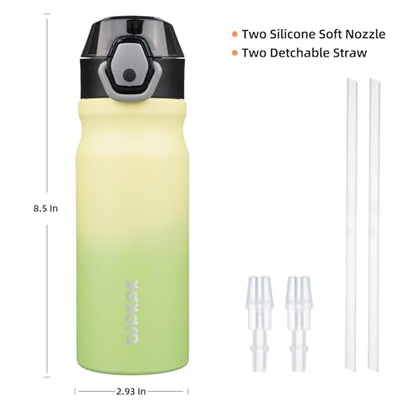 BJPKPK 18 oz Water Bottle with Straw & Handle, Insulated Stainless Flask | Leak Proof Locking Lid, Thermal, Double Wall Vacuum, Keeps Hot/Cold, BPA Free, Dishwasher Safe, Travel & Sports, Lime - color: Lime, size: 18 Ounces